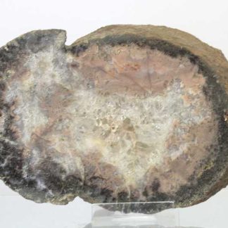 Agate