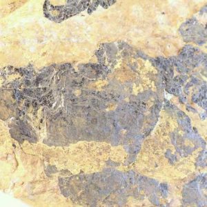 Ilmenite