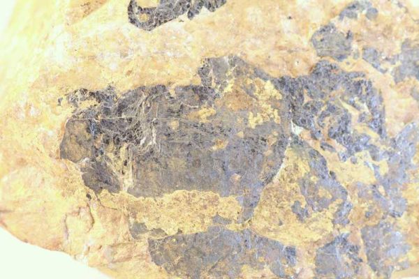 Ilmenite