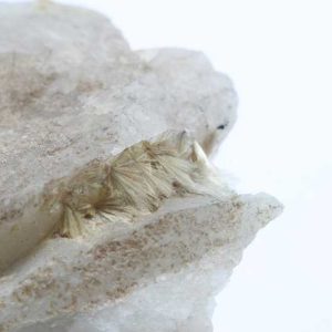Carpholite