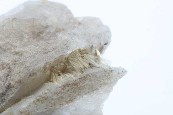 Carpholite
