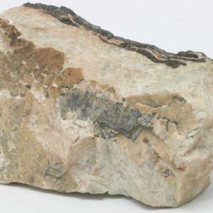 Ilmenite