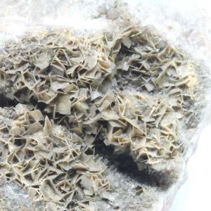 Wulfenite