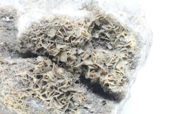 Wulfenite