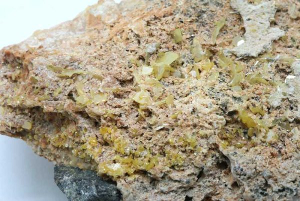Wulfenite