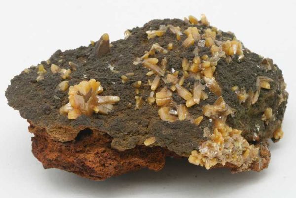 Wulfenite, mottramite