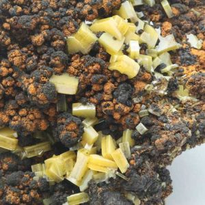 Wulfenite