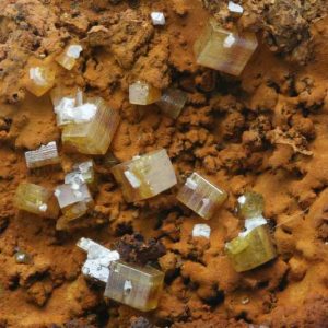 Wulfenite