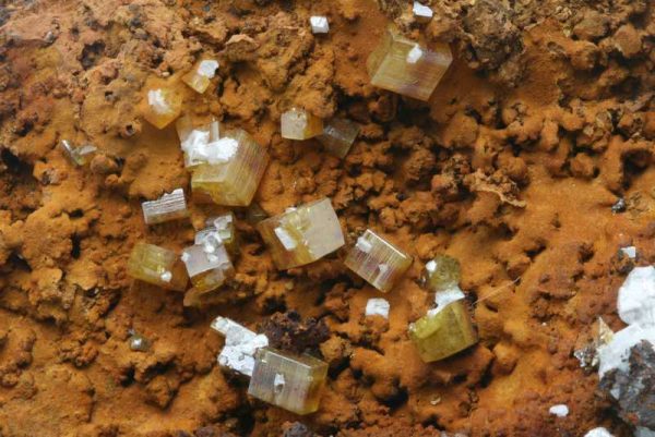 Wulfenite