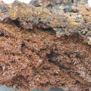Descloizite