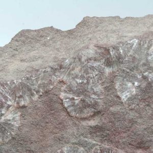 Wavellite