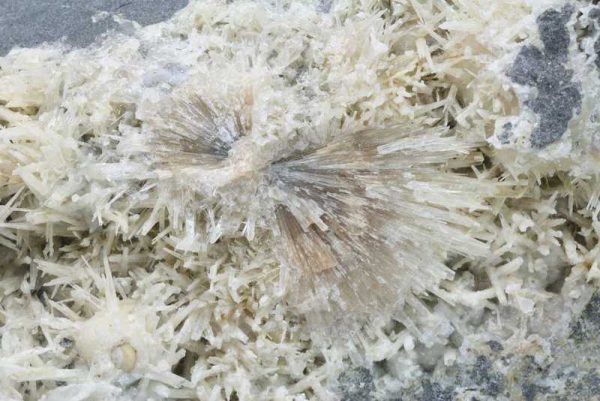 Aragonite