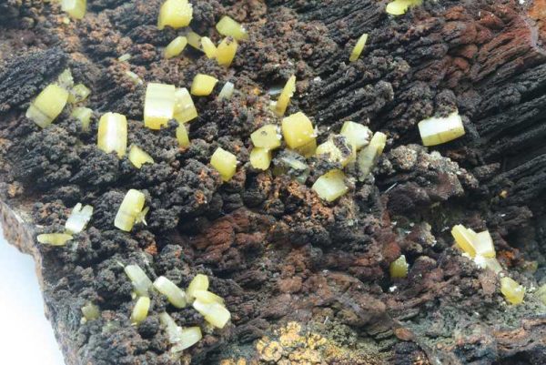 Wulfenite