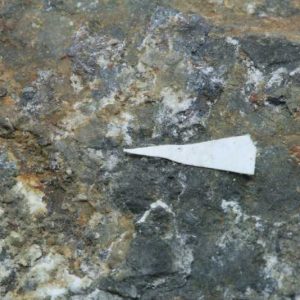 Brandholzite