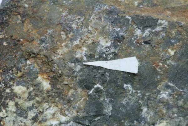 Brandholzite