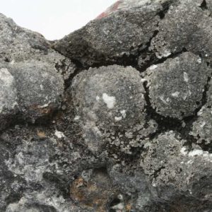 Arsenic, arsenolite
