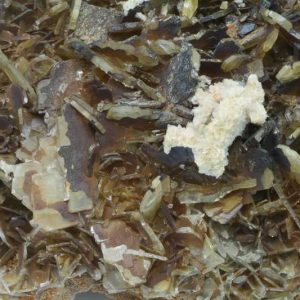Baryte