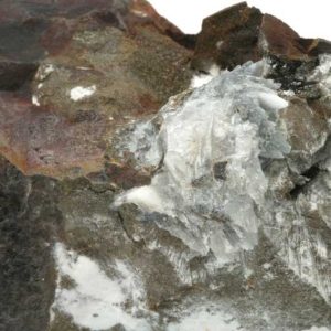 Whewellite