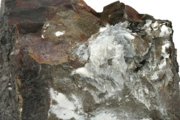 Whewellite