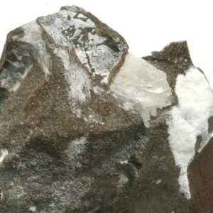 Whewellite