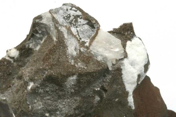 Whewellite