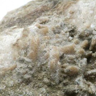 Barytocalcite