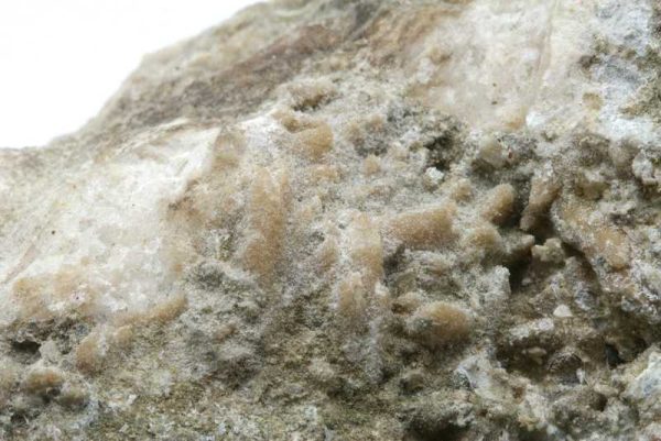 Barytocalcite
