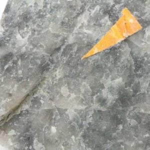Aurostibite