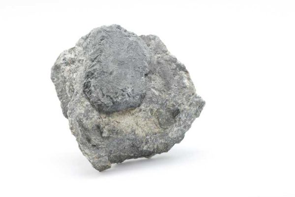 Senarmontite
