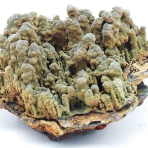 Mottramite
