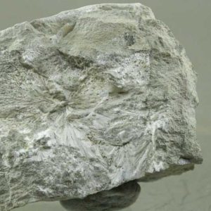 Scolecite