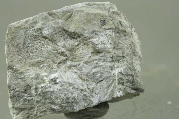 Scolecite