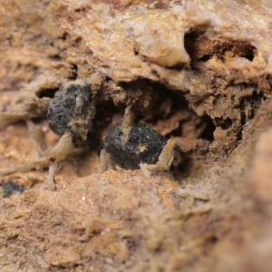 Libethenite