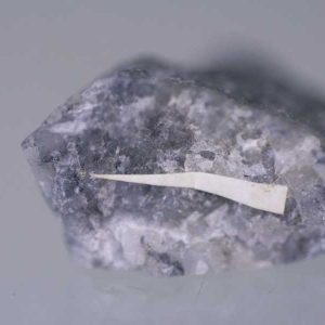 Aurostibite
