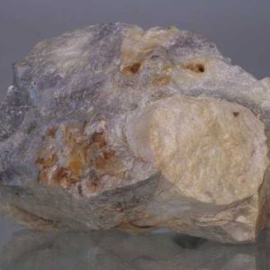 Opalized wood