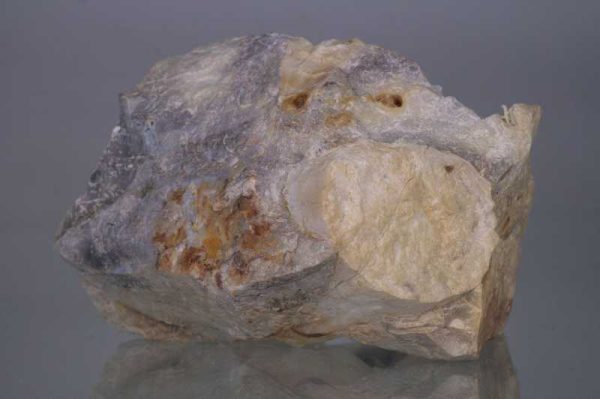 Opalized wood