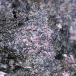 Murmanite