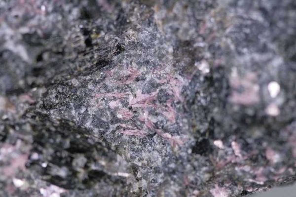 Murmanite