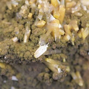 Wulfenite, mottramite