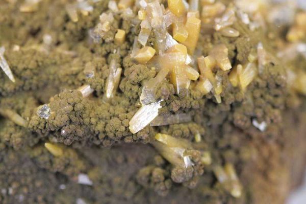 Wulfenite, mottramite