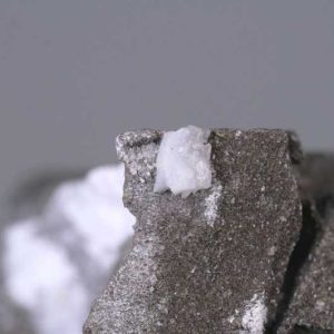 Whewellite