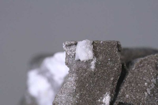 Whewellite
