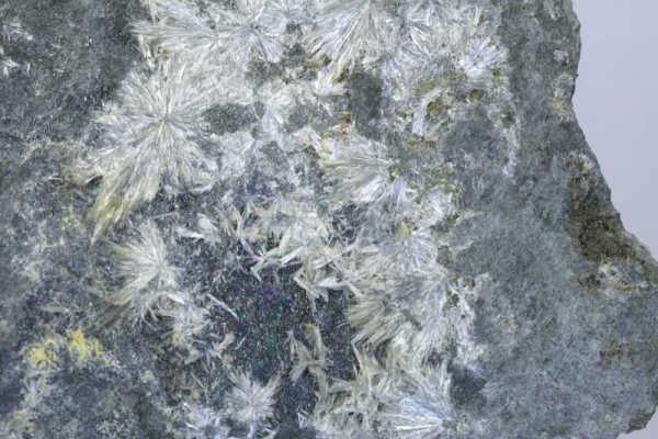 Valentinite