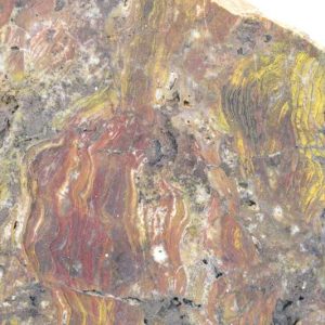 Ferruginous quartz with stromatolites