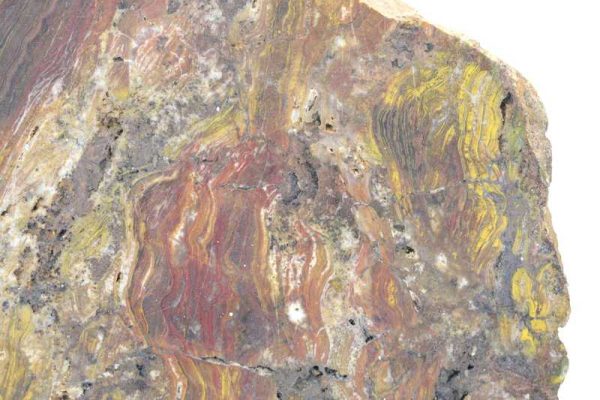 Ferruginous quartz with stromatolites