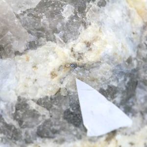Betasite