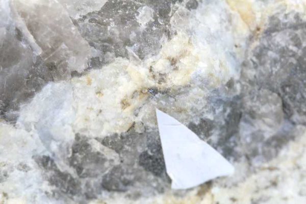 Betasite