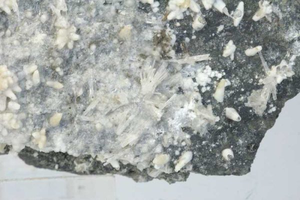 Aragonite, calcite