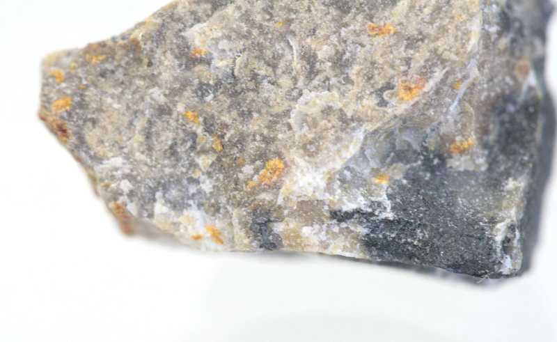 Scheuchzerite