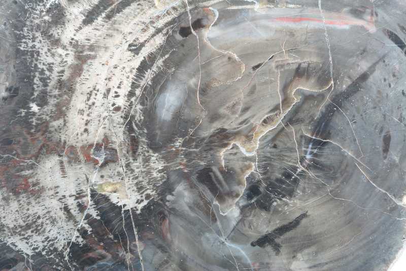 Araucarite - Image 2